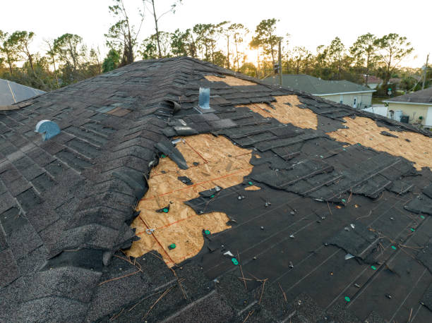 Best Solar Panel Roofing Installation  in Uhland, TX